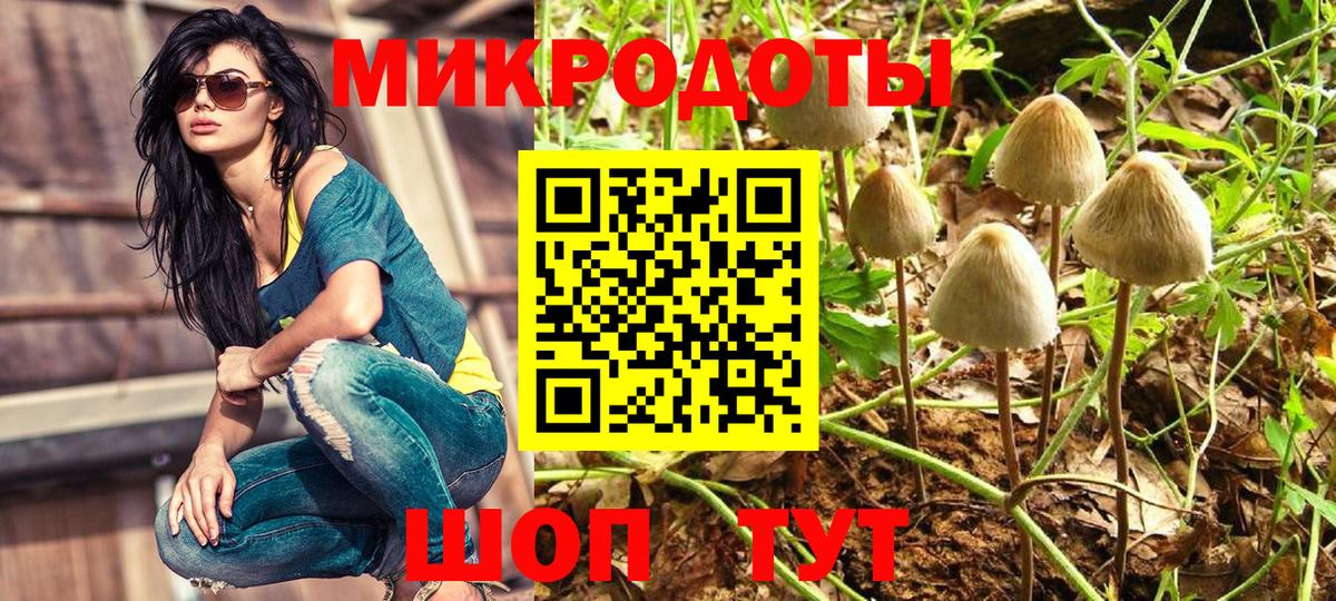 Псилоцибиновые грибы GOLDEN TEACHER  Вход с VPN  Белово  закладки  Псилоцибиновые грибы мухоморы 